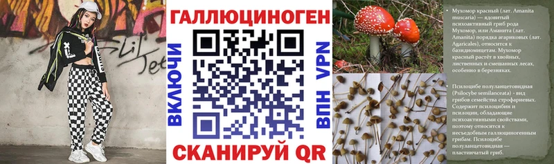 ссылка на мегу маркетплейс  цены   Гуково  Псилоцибиновые грибы MAGIC MUSHROOMS 